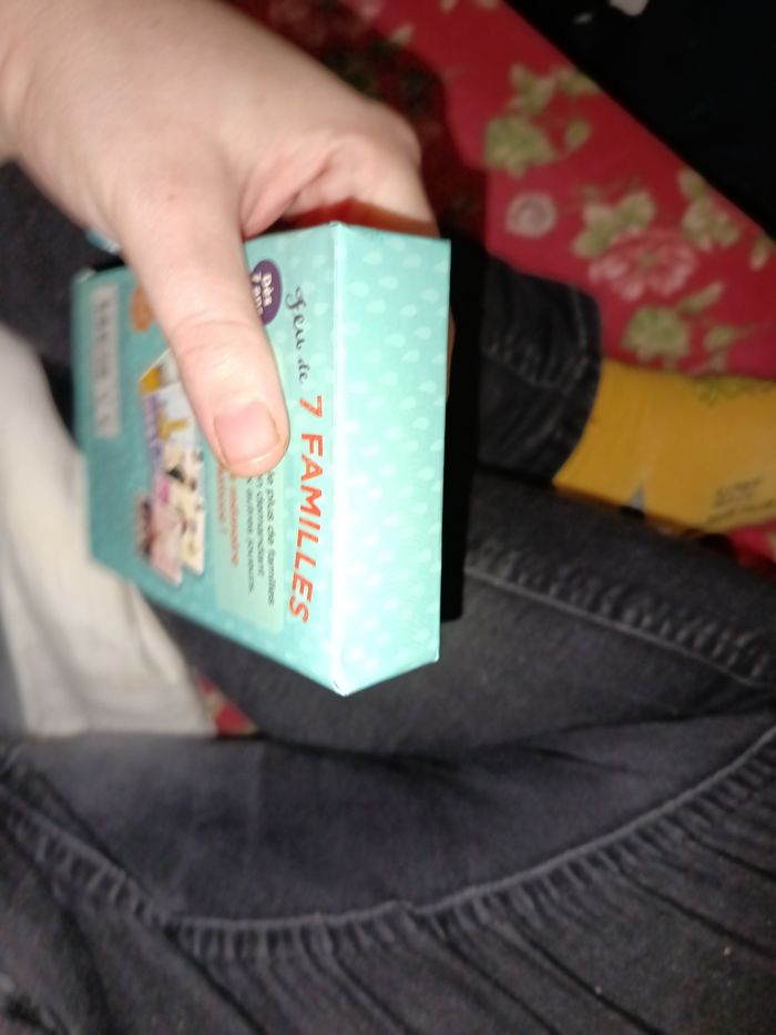 Jeu de 7 familles special Belgique - photo numéro 5