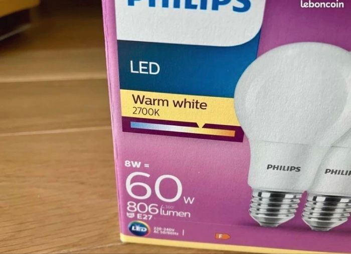 Lot de 2 ampoules Philips LED - Lumière blanc chaud -Standard E27 60W - photo numéro 2
