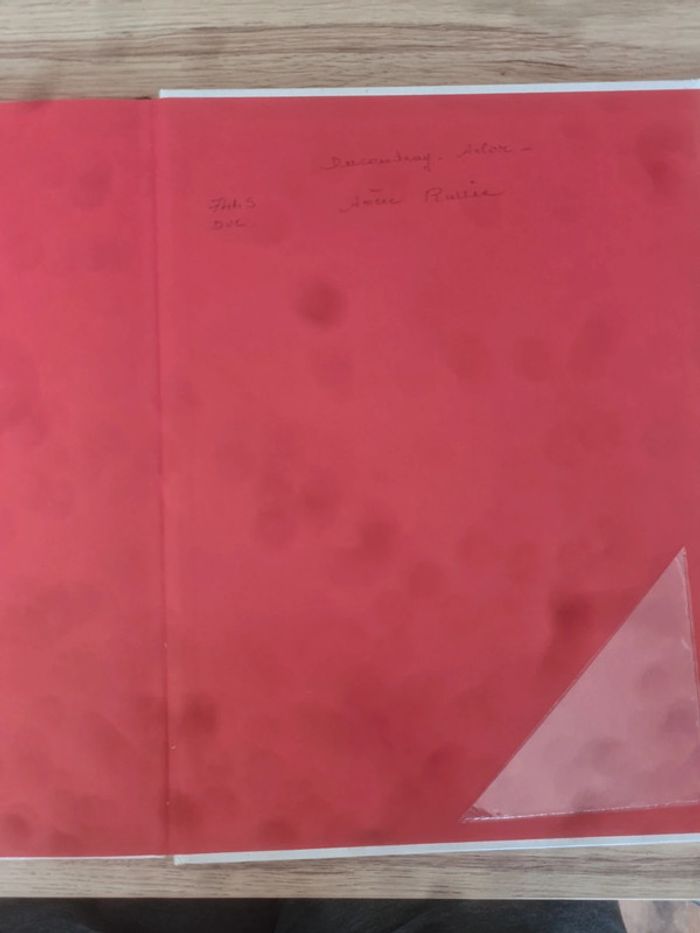 Amère Russie les amazones de Bassaïev - photo numéro 3