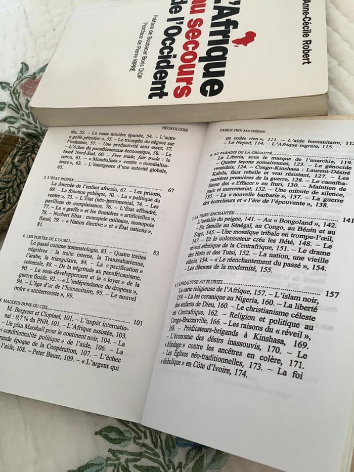 Négrologie, pourquoi l’Afrique meurt, par Stephen Smith - photo numéro 11