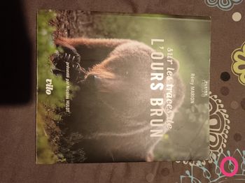 Livre sur l ours brun