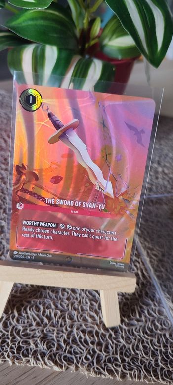 219/204 • EN • 8