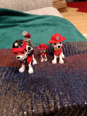 Chien pompier
