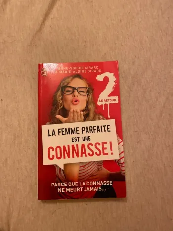 La femme parfaite est une connasse 2