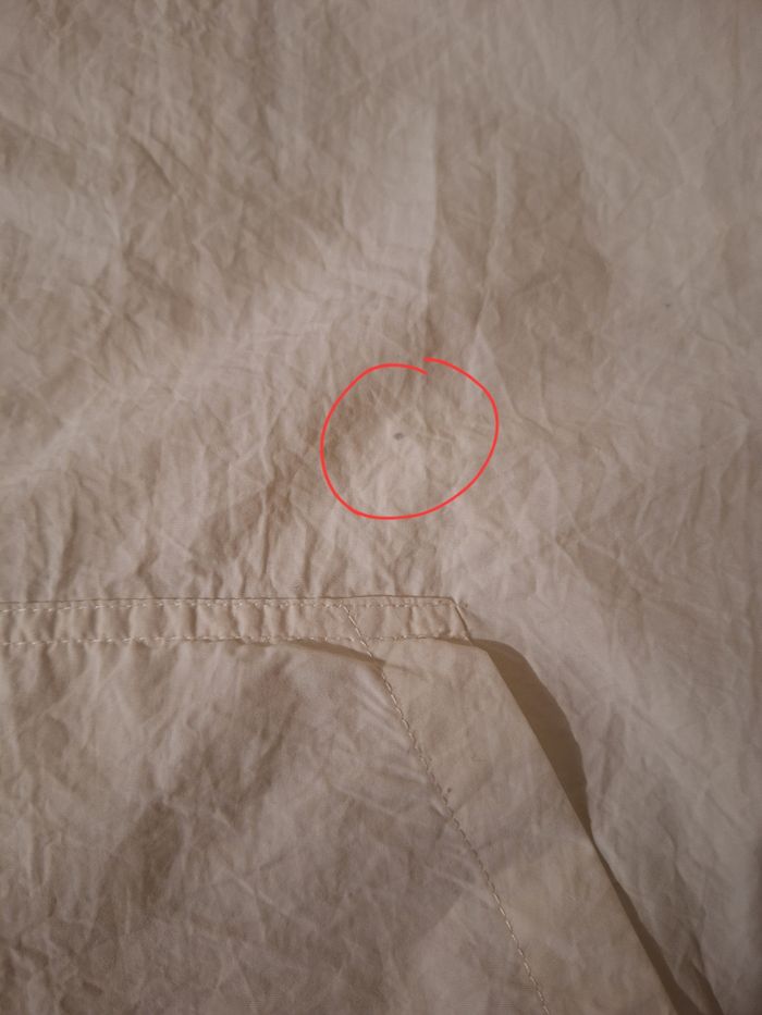 Blouson court à capuche zippé couleur crème - photo numéro 6