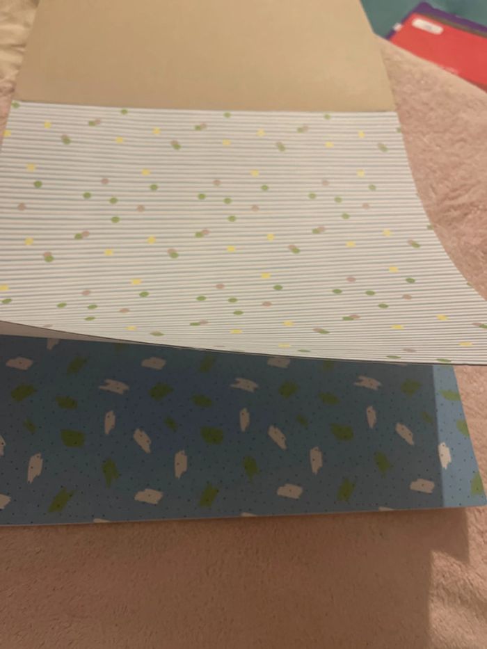 Carnet de paiers - photo numéro 2