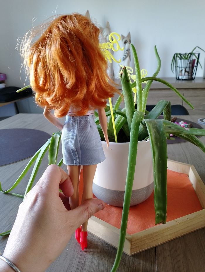 Barbie Fashionistas - photo numéro 3