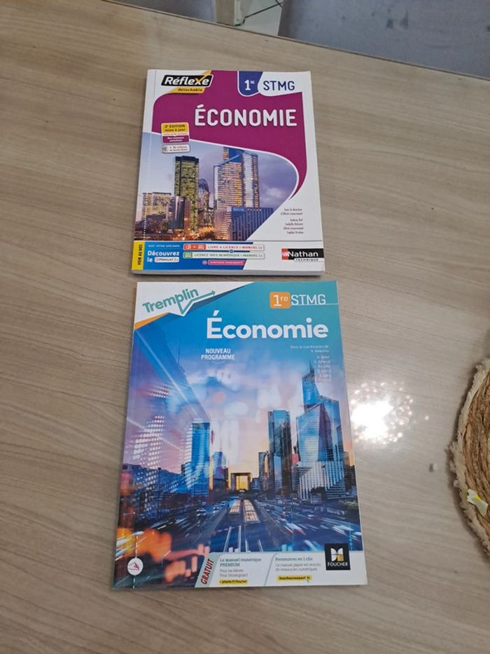 Lot manuel Économie 1ere STMG