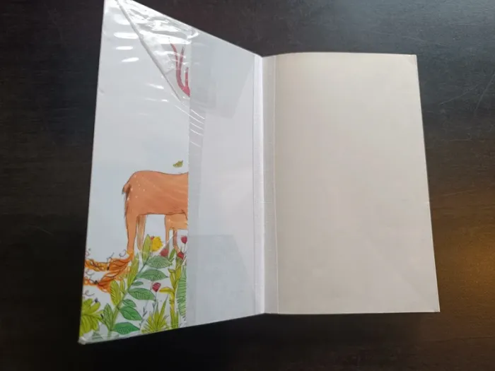 Livre LA FAMILLE CERISE: L'EFFET CHAMPIGNON - Pascal Ruter - photo numéro 2