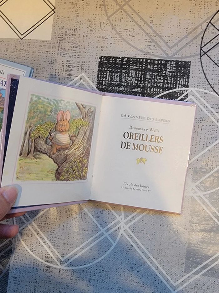 Lot deux livres la planète des lapins - photo numéro 12