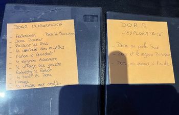 Lot 2 dvd  Dora