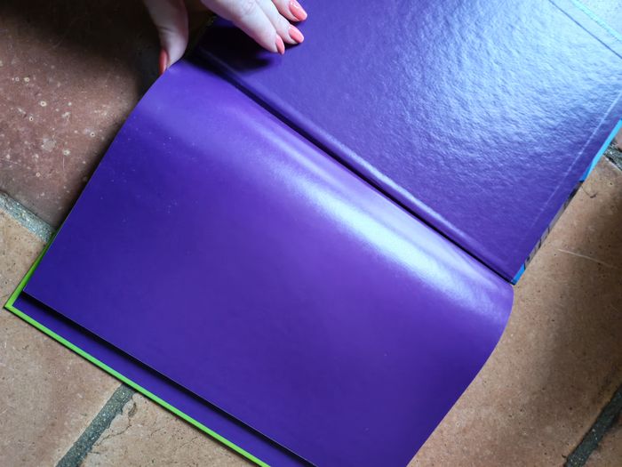 BD Scooby-Doo ! Le Scooby-gang en vacances - photo numéro 4