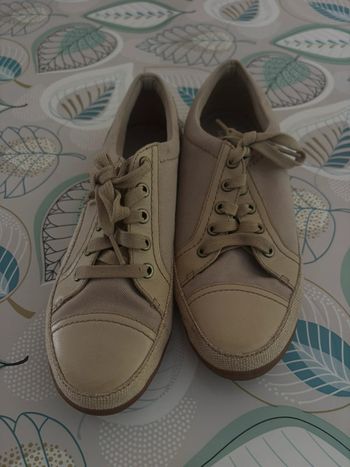 Chaussure type tennis en toile Timberland 39