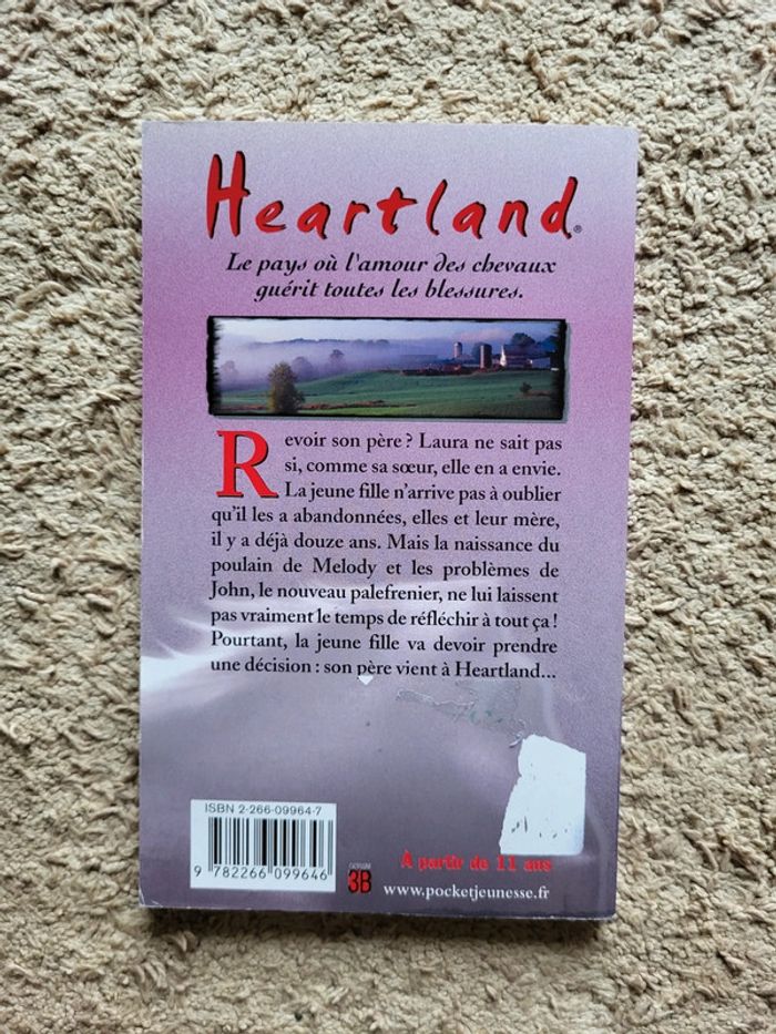 Roman jeunesse "Heartland, L'impossible retour" de Lauren Brooke - Série équestre - photo numéro 2