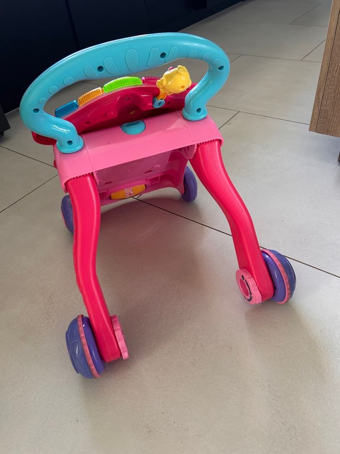 Trotteur - photo numéro 3