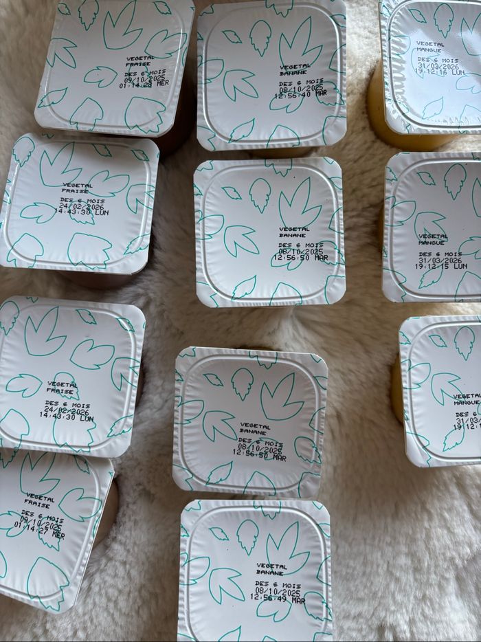 Yaourts végétaux au lait de coco - photo numéro 3