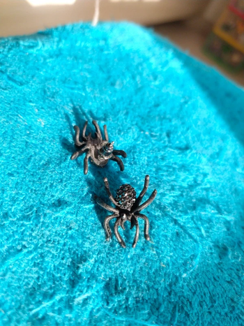 Boucles d'oreilles araignée