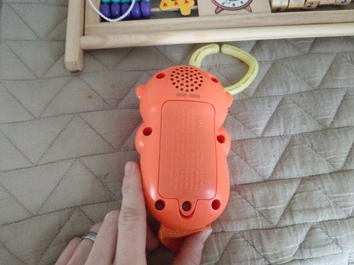 Loutre musical - photo numéro 2