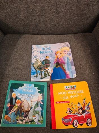 Lot 3 livres Disney