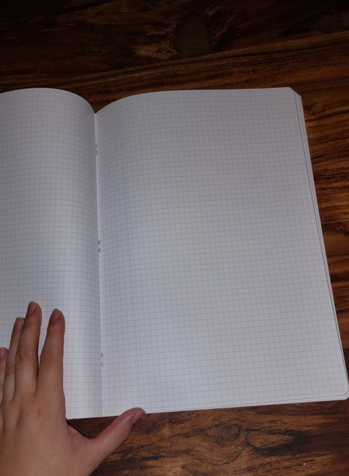 Cahier quadrillé Kangourou - photo numéro 2