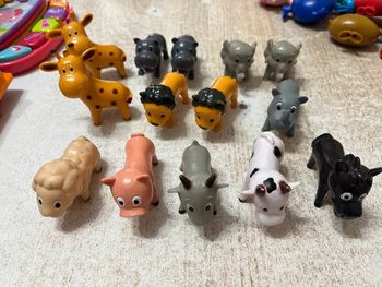 Animaux divers