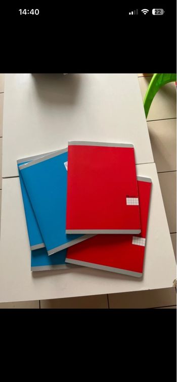 Lot s grands cahiers 