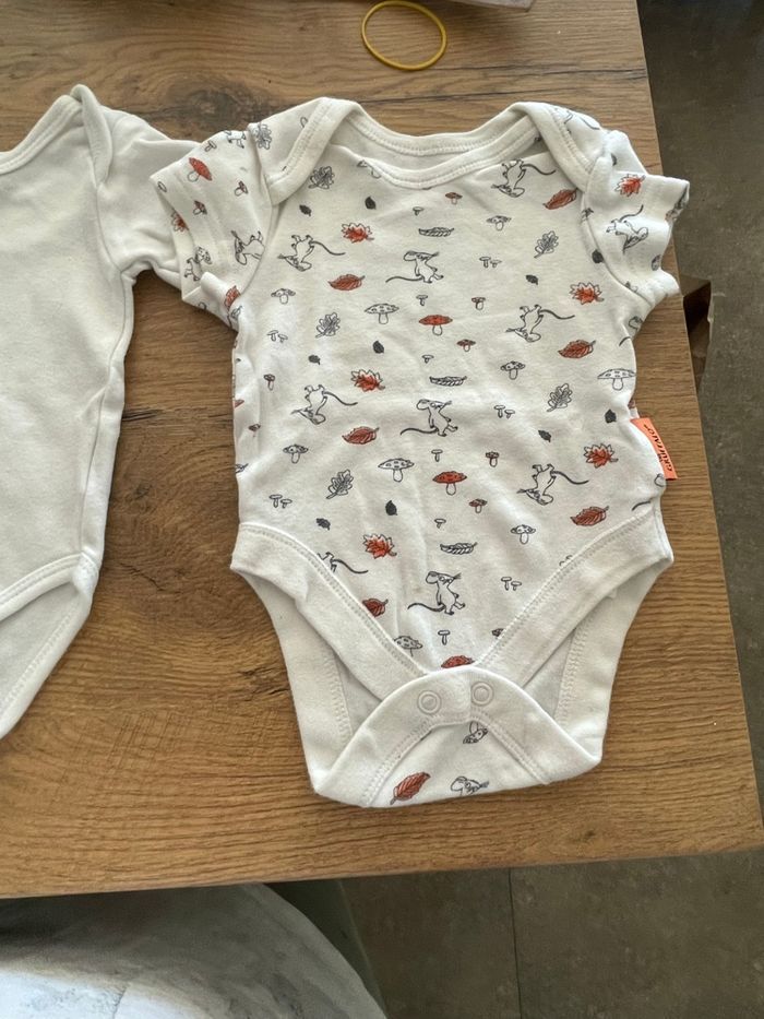 Lot Bodies - photo numéro 5