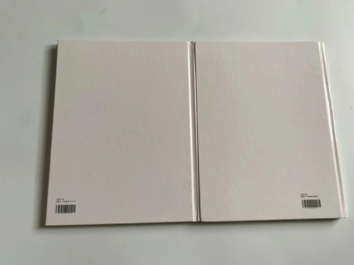Lot de deux livres Disney, mon album, 2005 et 2006 - photo numéro 2