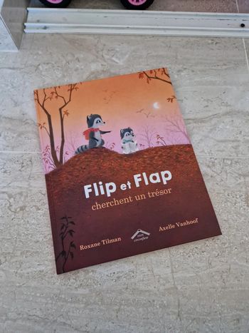 FLIP et FLAP