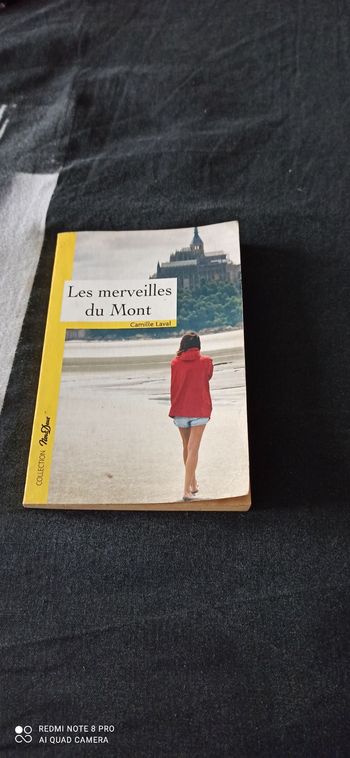 Livre Les merveilles du Mont