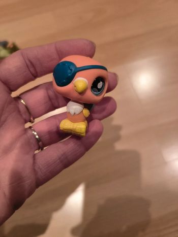 Pet shop perroquet pirate