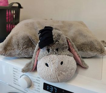 Coussin bourriquet winnie l'ourson