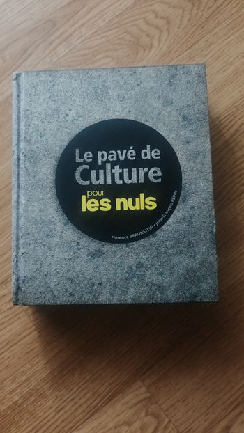 Le pavé de culture pour les nuls - Jean-François Pépin & Florence Braunstein-Silvestre