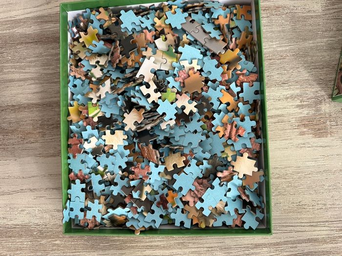 Puzzle 1000 pièces - photo numéro 3