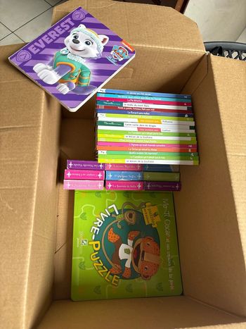 Carton lot de livre