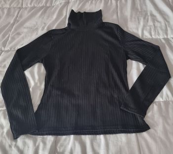 Col roulé.  T.S. Nastygal