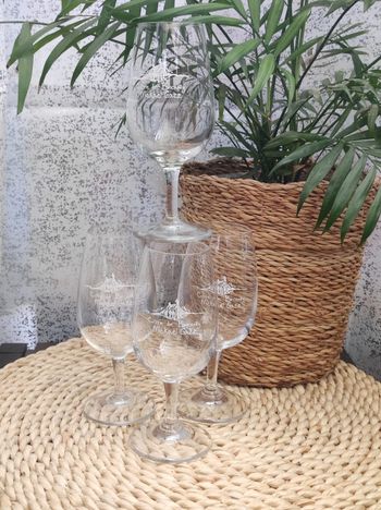 Verres à vin côte de brouilly et mickael gaze