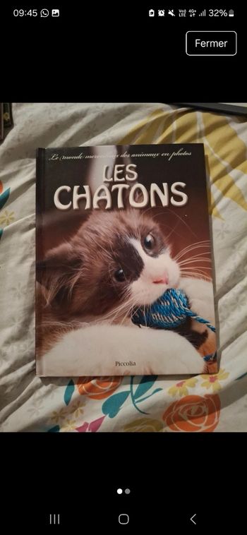 Livres animaux Les Chatons