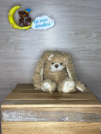 BK167 doudou lapin 🐰 bukowski