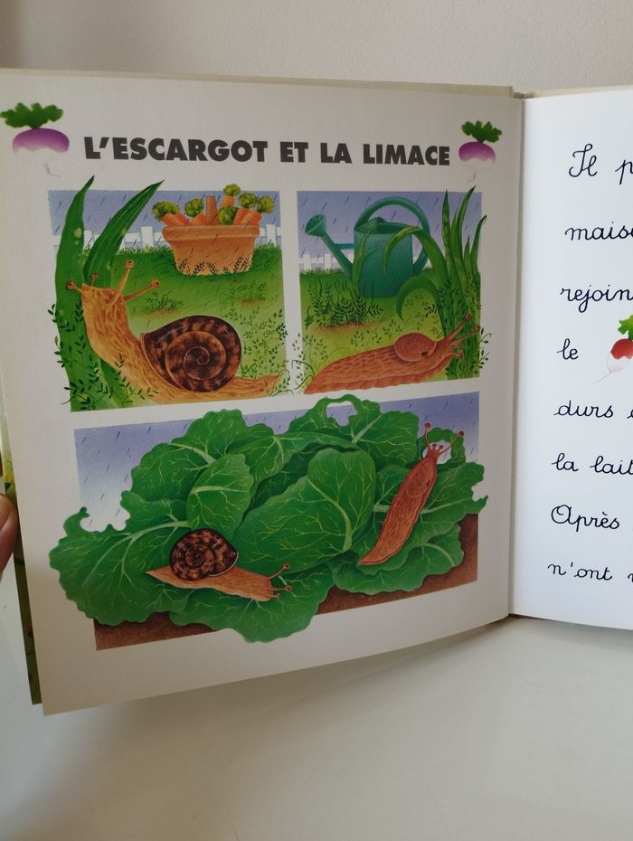 Livre Je lis avec les animaux du jardin - photo numéro 6
