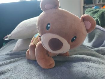 Ourson qui marche à 4 pattes