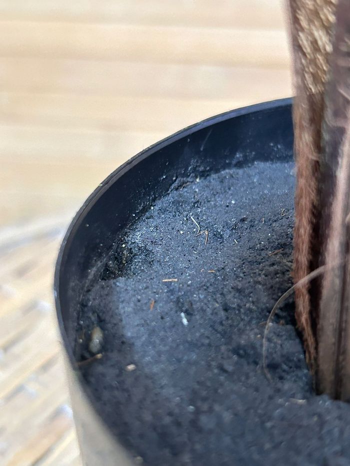 Palmier Areca 120cm en pot. Plante vertes artificielle avec tronc plutôt réaliste - photo numéro 7