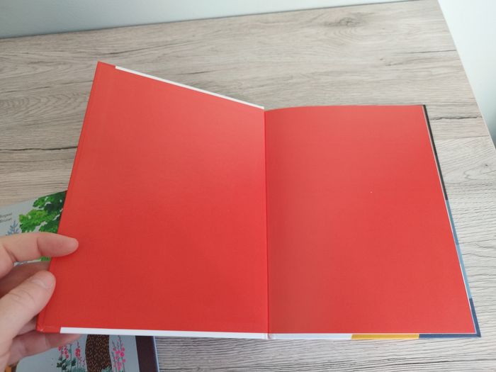 Livre les mercredis à lire McDo macdo la danse de Doris - photo numéro 3