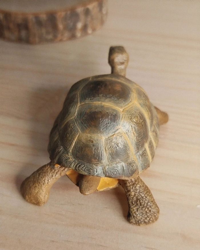 PAPO tortue de terre beige Figurine Animal de la ferme - photo numéro 5