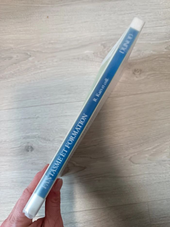 Fantasme et formation
René Kaës, Didier Anzieu, L-V Thomas - photo numéro 3