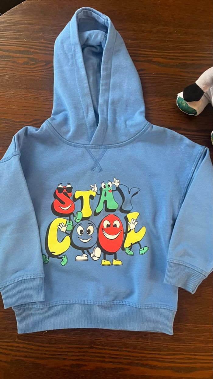 Sweat a capuche garçon 3-4 ans - photo numéro 2