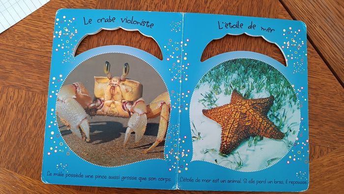 Livre imagier première ms découvertes des animaux de la mer - photo numéro 5