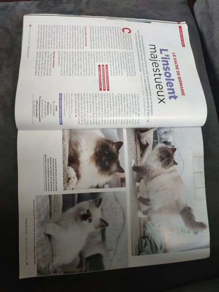 Magazine 30 millions d'amis numéro 381 février 2020 - photo numéro 6