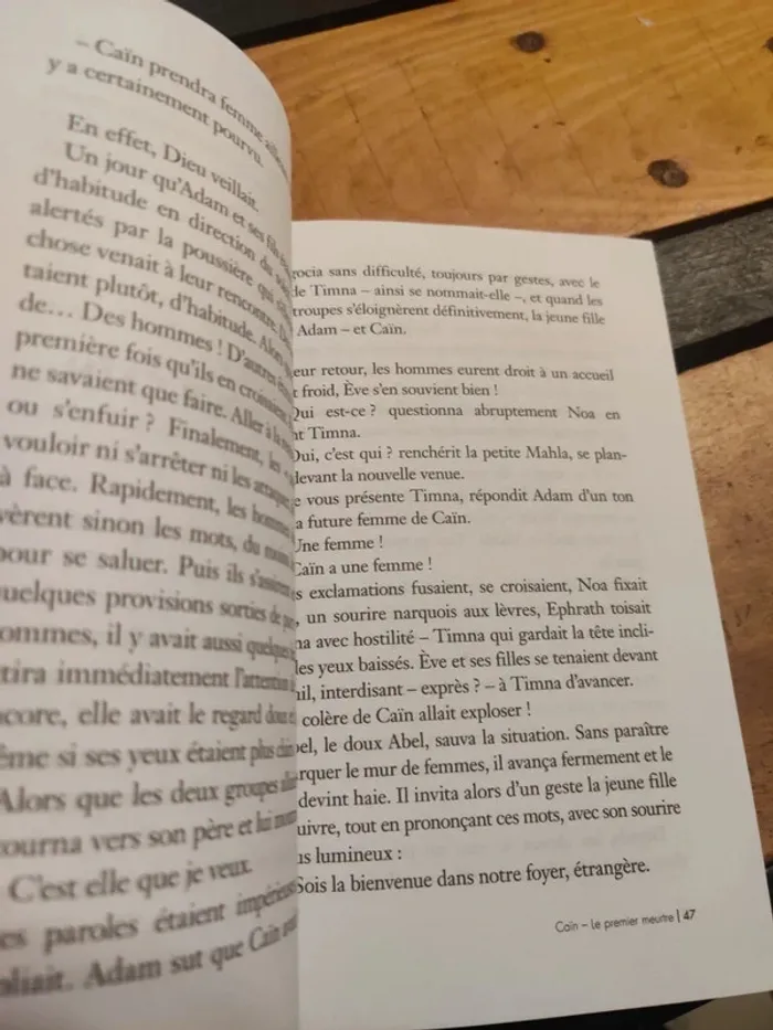 Histoires de la Bible : Caïn Le premier meurtre - photo numéro 7