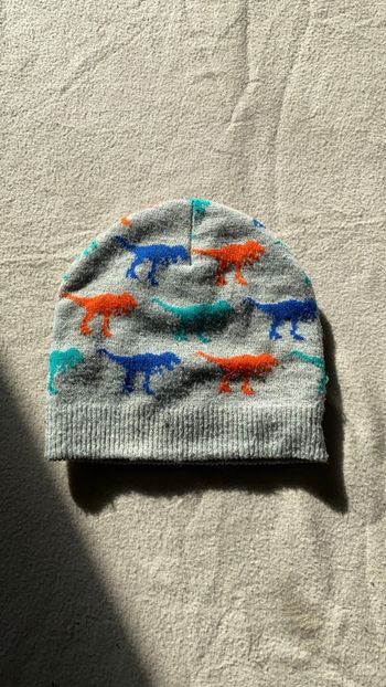 Bonnet dinosaure